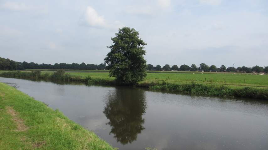 Markdal Breda