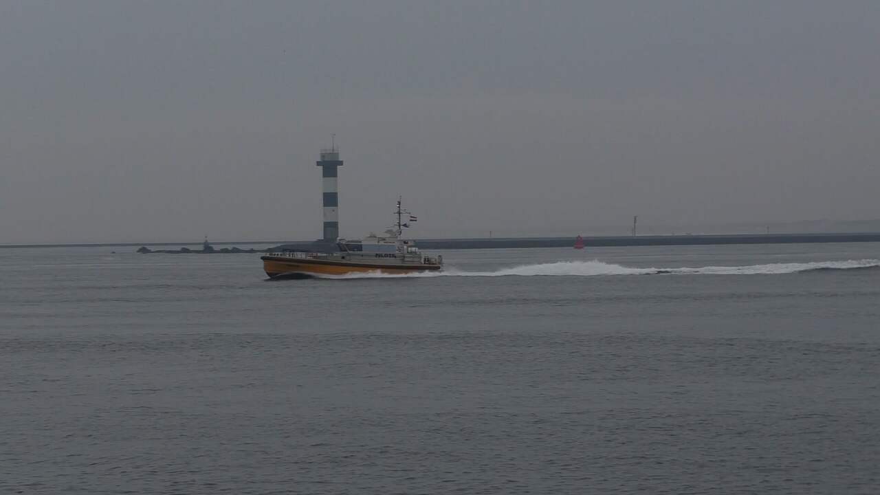 Beeld uit video: Hulpdiensten zoeken naar inzittenden vliegtuigcrash in Rotterdamse haven