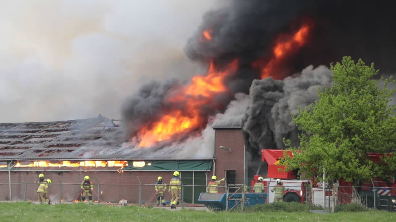 Beeld uit video: Brandweer bestrijdt grote brand in kippenschuur Renswoude