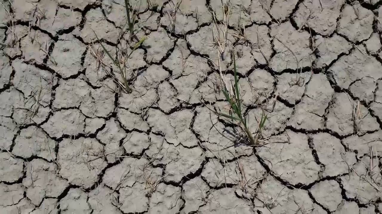 Beeld uit video: Deze plekken in Europa hebben last van de extreme droogte