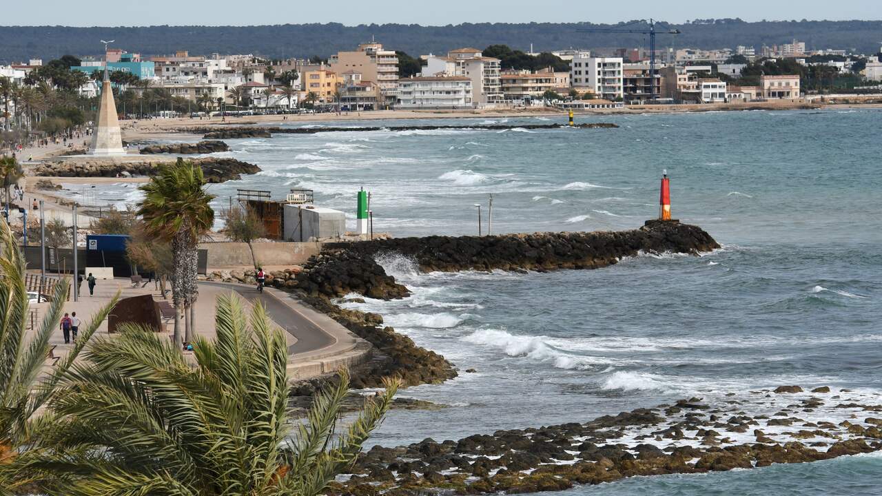 Nederlandse toeriste doet aangifte van groepsverkrachting op Mallorca Buitenland NU.nl foto