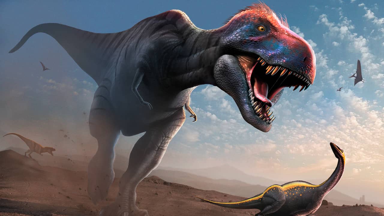 T. rex diduga mengembangkan mata yang lebih kecil untuk menggigit lebih baik |  Ilmu Pengetahuan