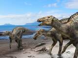 Onderzoekers ontdekken dat veel dinosauriërs warmbloedig waren
