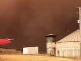 Klimaatverandering vergroot kans op bosbranden in Australië wel degelijk