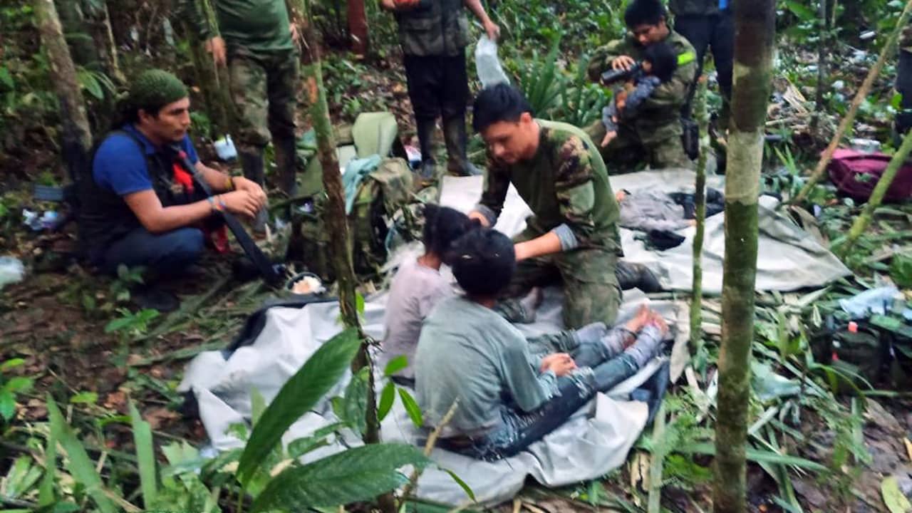 Quattro bambini scomparsi trovati vivi nella giungla 40 giorni dopo l’incidente aereo |  All’estero