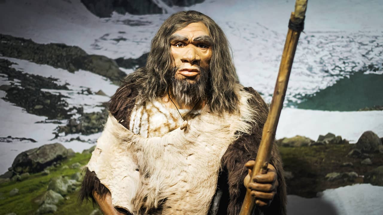 Des chercheurs trouvent des preuves que les Néandertaliens chassaient l’éléphant de forêt géant |  Science