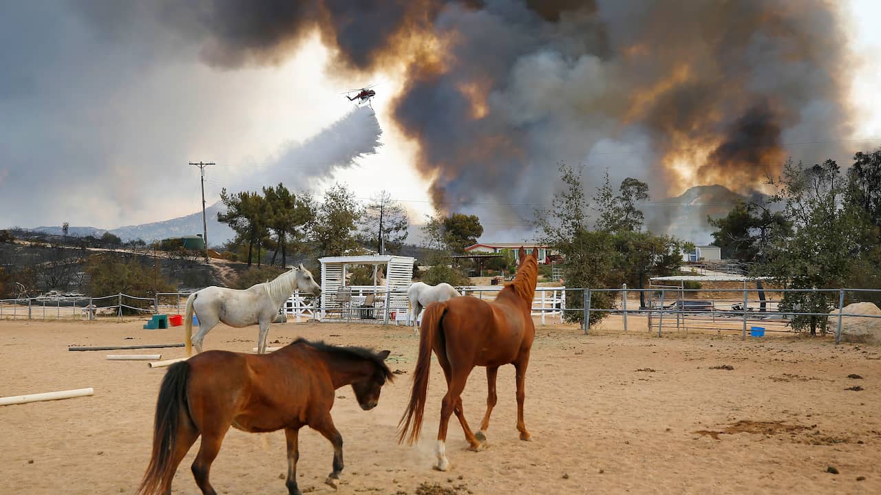 ‘California hit by most devastating wildfires in 30 years’ |  NOW