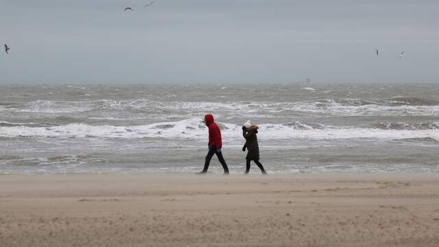Storm Ciara: dit staat Nederland zondag te wachten | NU - laatste nieuws het eerst op NU.nl