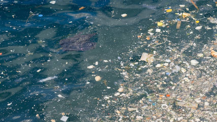 WWF: Plastic in oceanen in 2050 verviervoudigd, grote gevolgen voor natuur