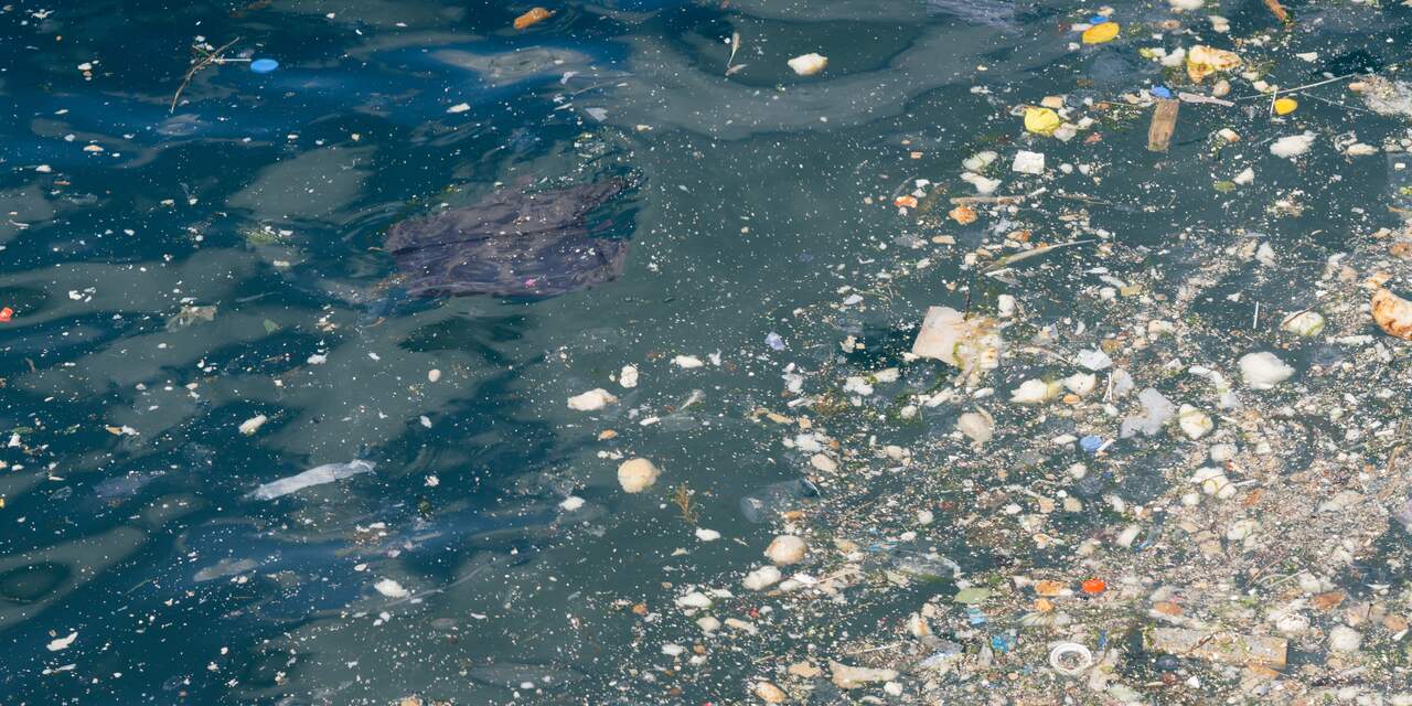 WWF: Plastic in oceanen in 2050 verviervoudigd, grote gevolgen voor natuur