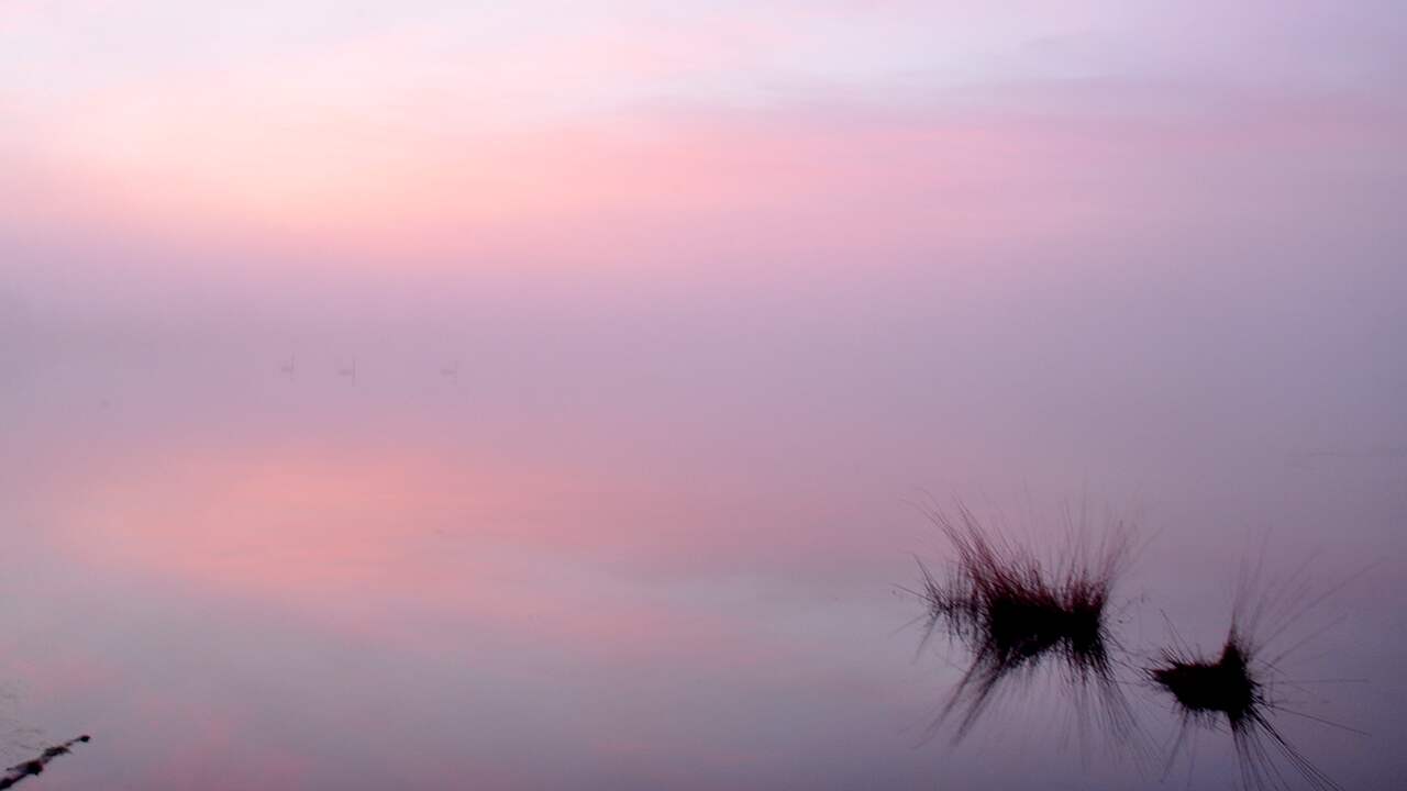 Weerbericht: Vanmiddag soms zon