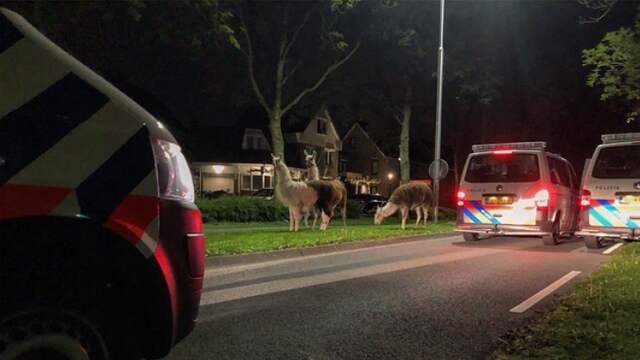 Hendrikidoambacht nieuws