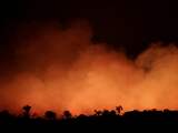 Braziliaanse bosbranden zetten EU-handelsdeal op scherp