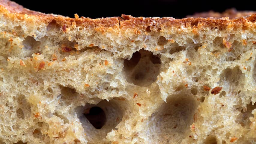 Wetenschappers ontdekken 's werelds oudste brood in Jordanië