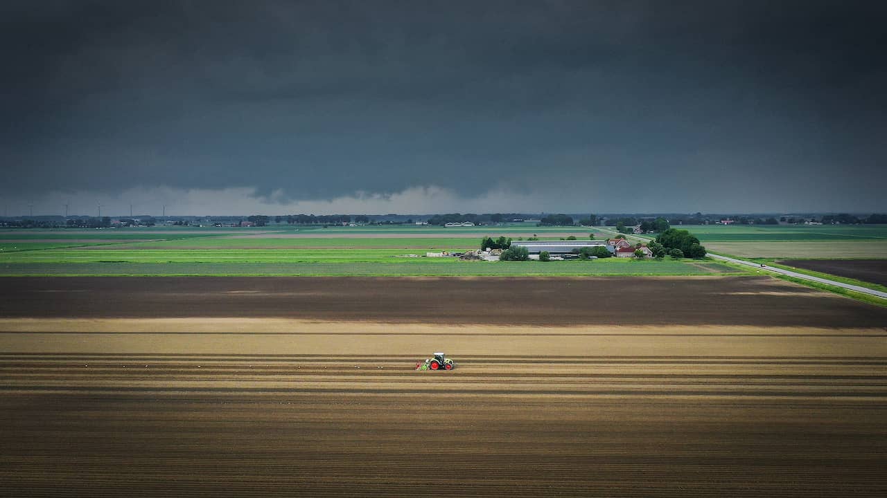 Current Precipitation Deficiency in the Netherlands and its Impacts on Water Resources