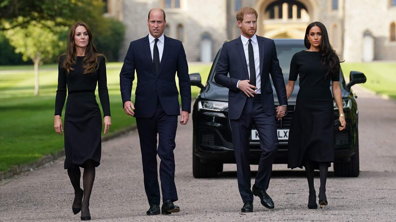 La morte di Elizabeth riunirà i fratelli William e Harry?  |  famiglia reale