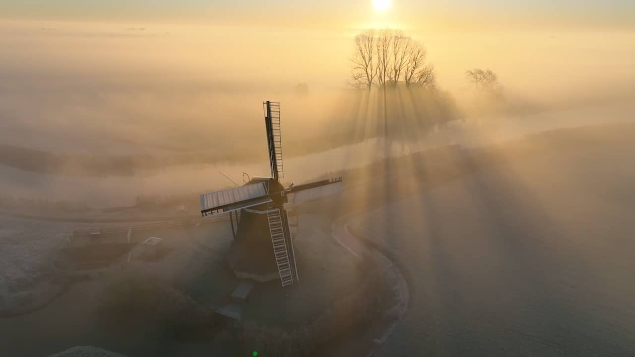 Beeld uit video: Friese weilanden kleuren goud tijdens mistige zonsopkomst