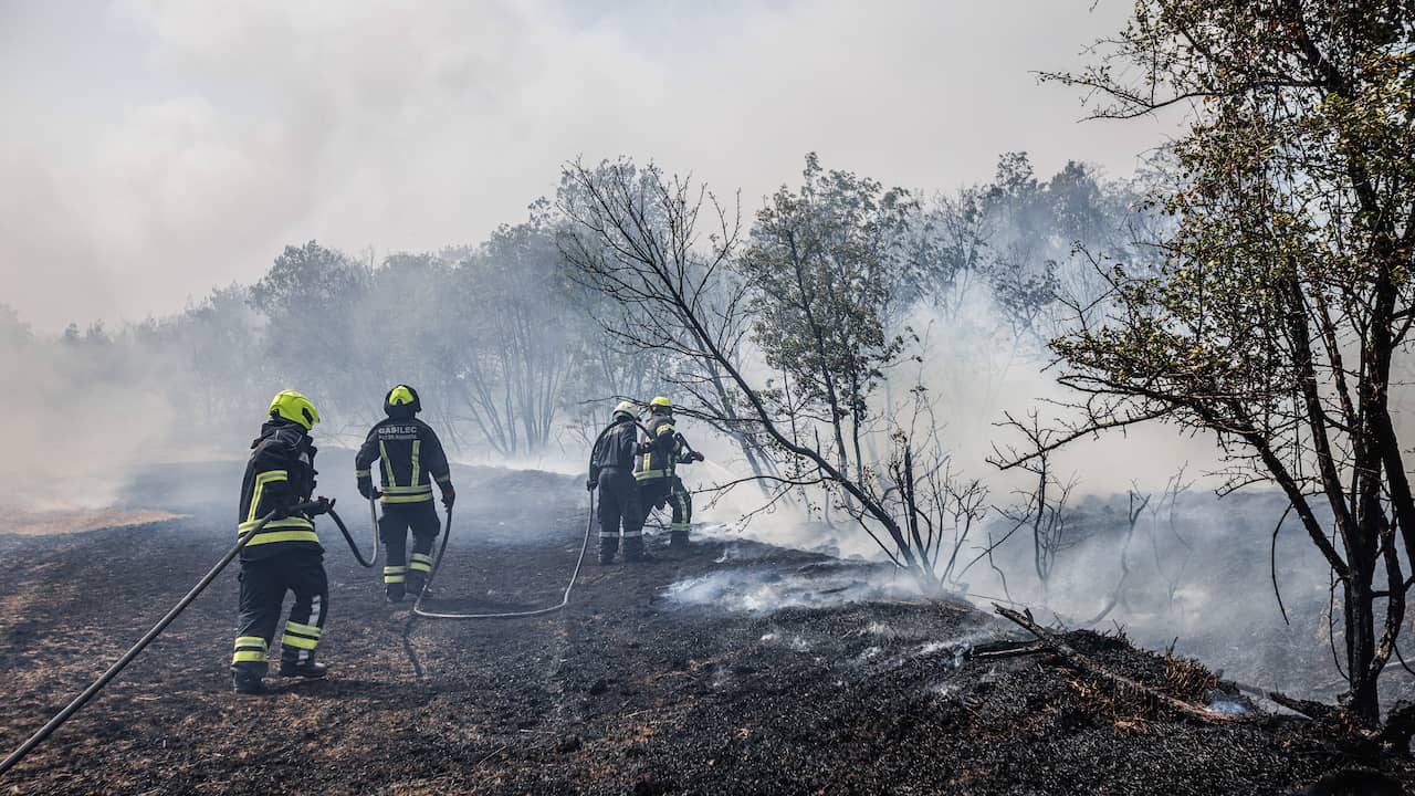 I vigili del fuoco hanno spento un incendio sul Carso, in Slovenia, per il sesto giorno consecutivo