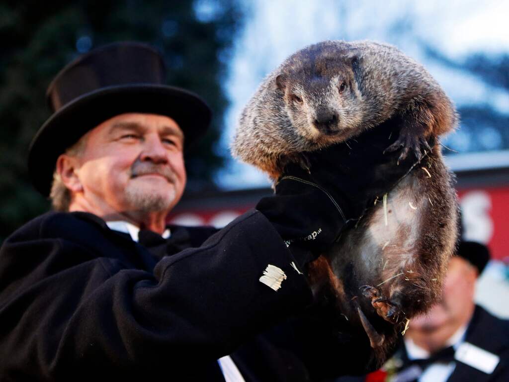 Marmot Phil Voorspelt Lange Winter Op Groundhog Day Nu Het Laatste Nieuws Het Eerst Op Nu Nl