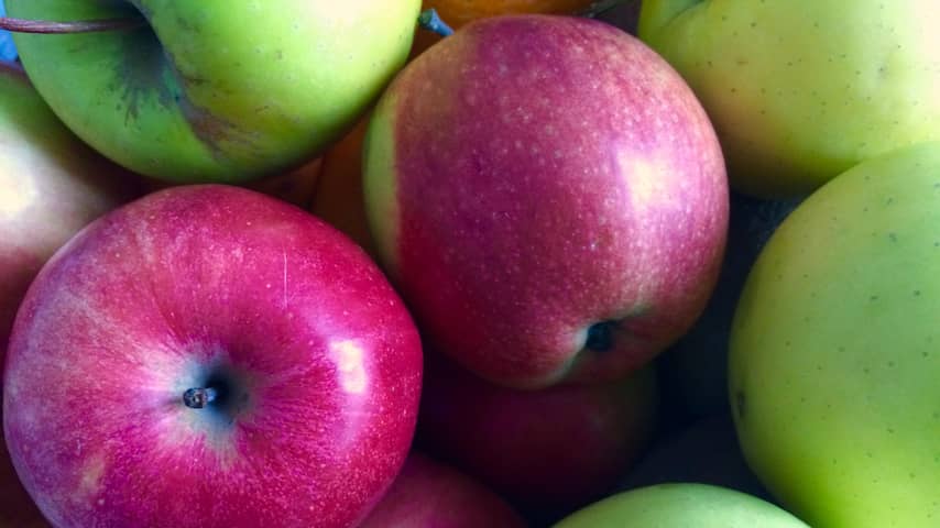 'Vier op de tien Limburgse fruitboeren vrezen ondergang'