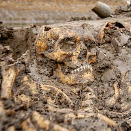 Gevonden schedels in Zuidland zijn te oud om nog te identificeren