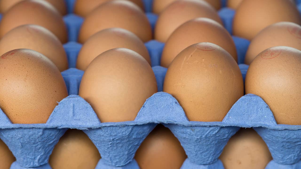 slang Schrijft een rapport voetstuk Prijs voor een doosje eieren ging zelden zo hard omhoog | Economie | NU.nl