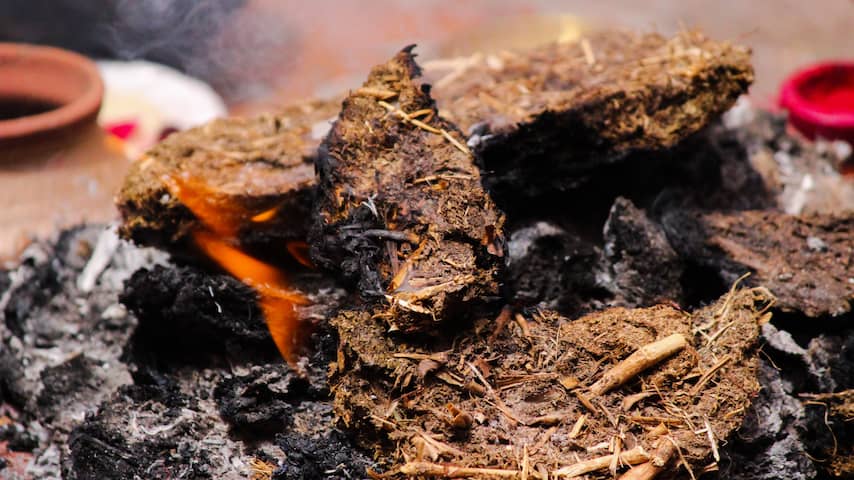 Archeologen weten het zeker: mensen in steentijd gebruikten poep voor vuurtje