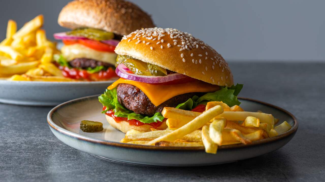 Advancements in Cultured Meat: Prospects and Challenges in the Netherlands and Beyond