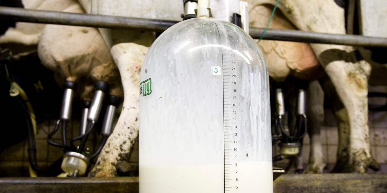 Dalende omzet FrieslandCampina door lage melkprijs 