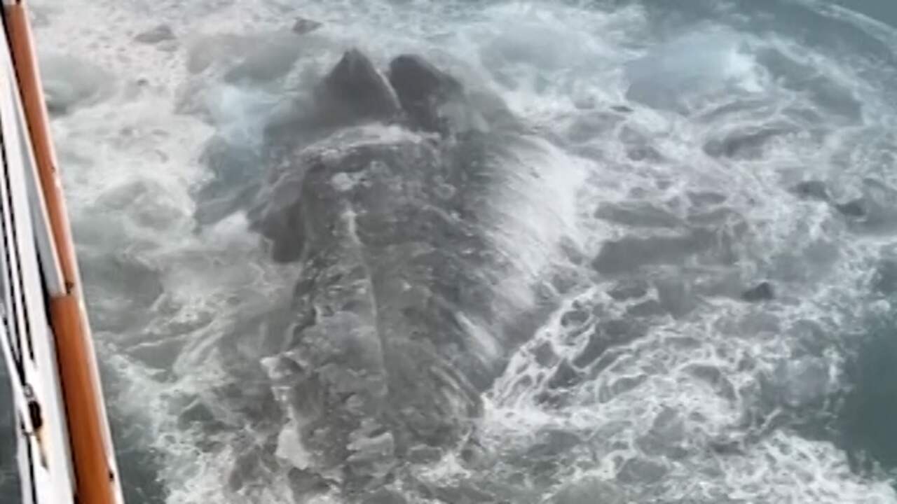 Beeld uit video: Reiziger filmt hoe cruiseschip ijsberg raakt bij Alaska