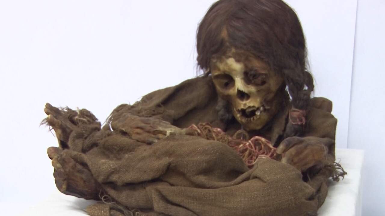 Beeld uit video: Eeuwenoude Inca-mummie keert na 129 jaar terug naar Bolivia