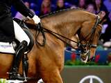 Streep door paardensportwedstrijden vanwege zeer besmettelijk virus