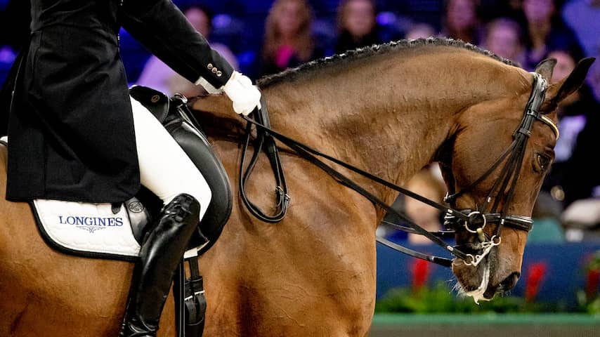 Tien interval Verplicht Streep door paardensportwedstrijden vanwege zeer besmettelijk virus | Sport  Overig | NU.nl