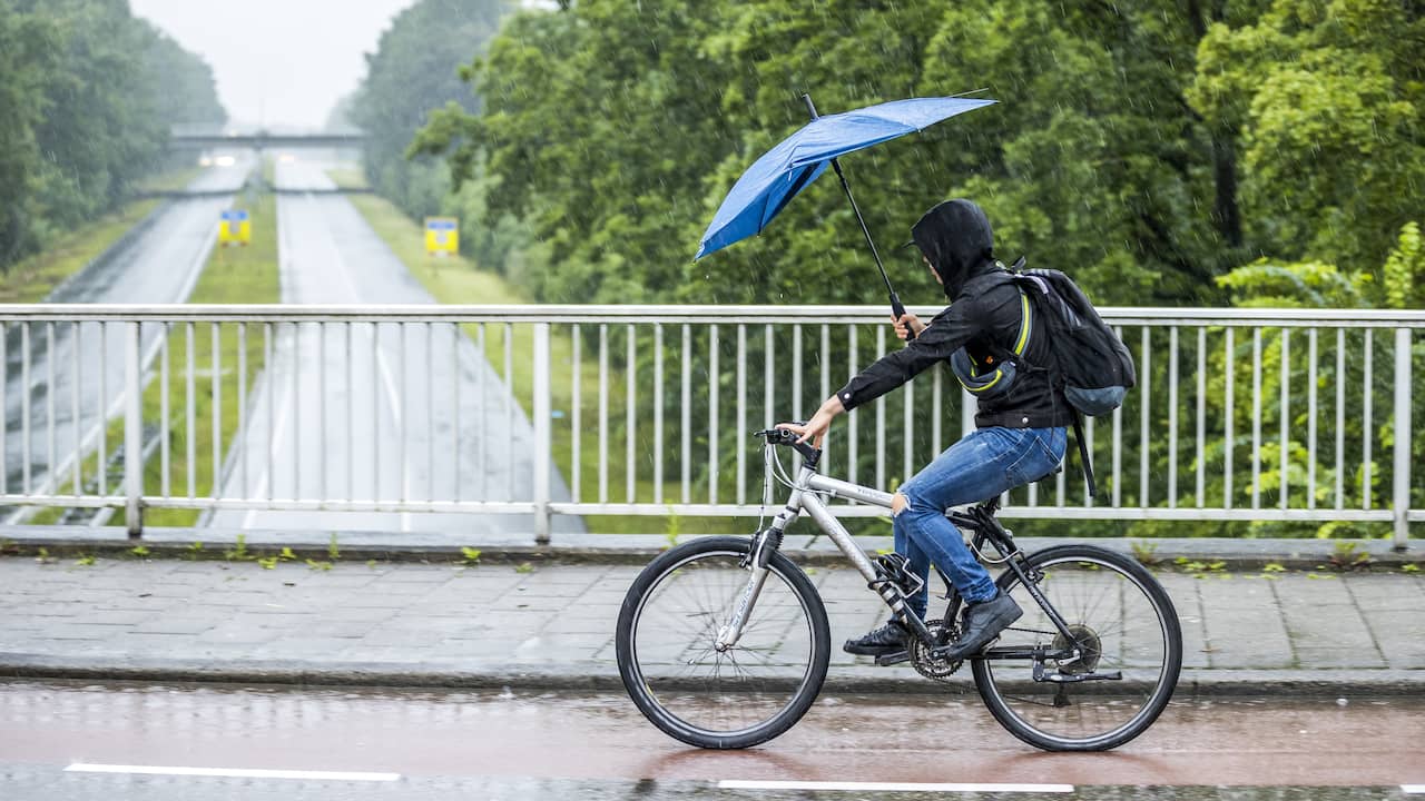 KNMI warns of showers with thunderstorms, hail and strong gusts of wind |  NOW