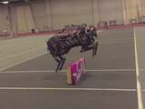 Supersnelle Cheetah-robot springt autonoom over objecten heen