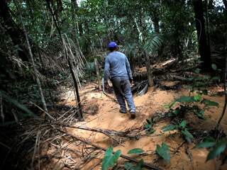 'Enorm Braziliaans natuurgebied Cerrado krimpt nog sneller dan Amazone'