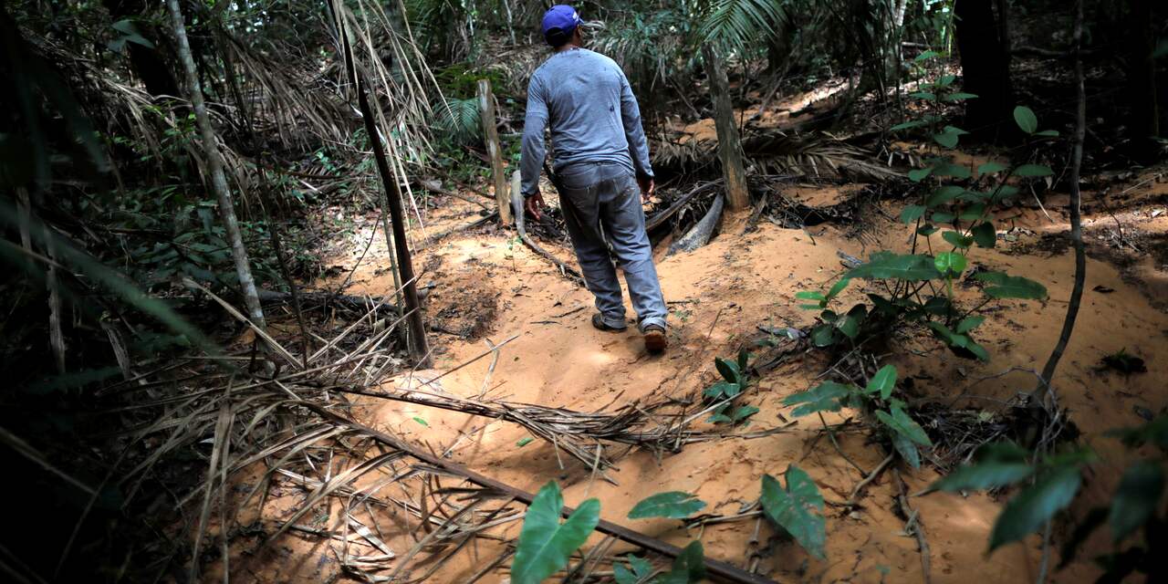 'Enorm Braziliaans natuurgebied Cerrado krimpt nog sneller dan Amazone'