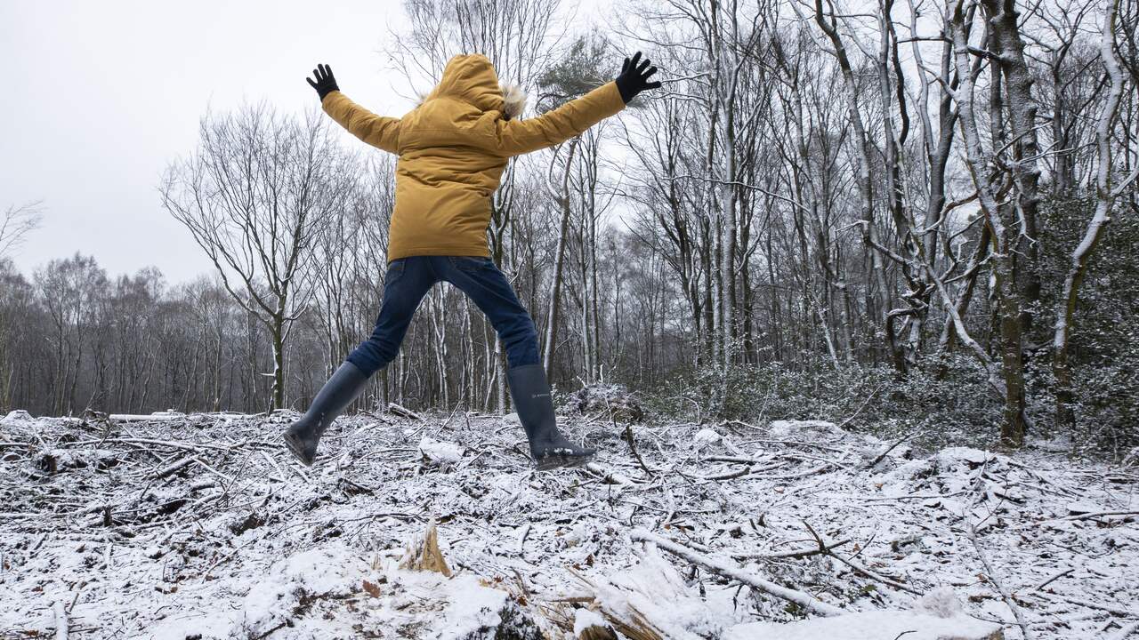 Prévisions météo : Beaucoup de nuages ​​et possibilité de neige mouillée |  Intérieur