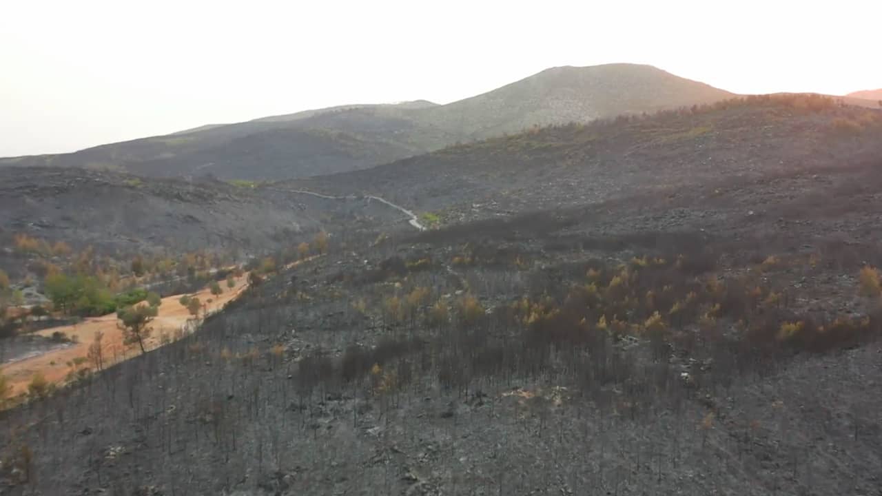 Beeld uit video: Dronebeelden tonen zwartgeblakerde velden in Turkije