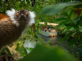 Bestel nu je tickets voor Wildlands Adventure Zoo in Emmen voor €19,95