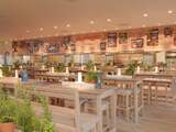 Restaurantketen Vapiano vraagt uitstel van betaling aan