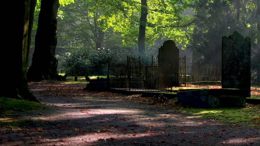 Onderzoek naar spirituele bijeenkomst op kindergedeelte van begraafplaats