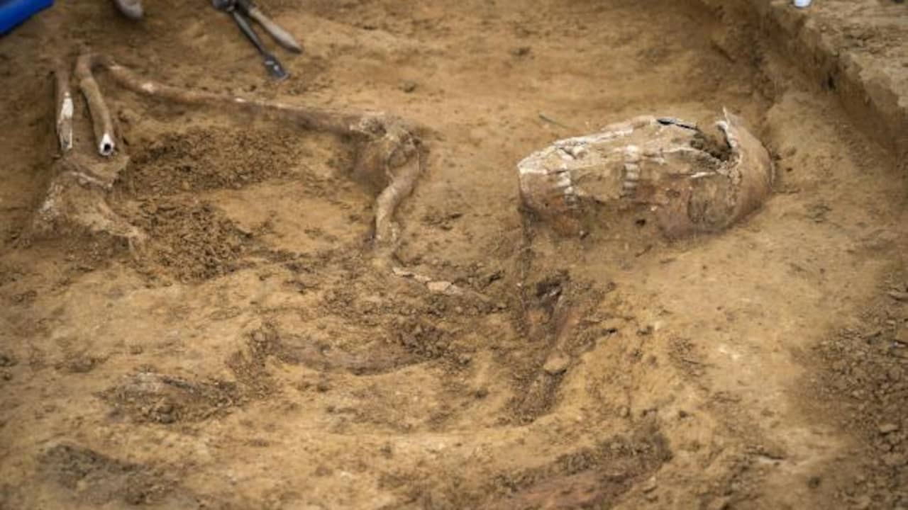 Scoperti rari scheletri in buone condizioni di soldati che hanno combattuto a Waterloo |  Scienze