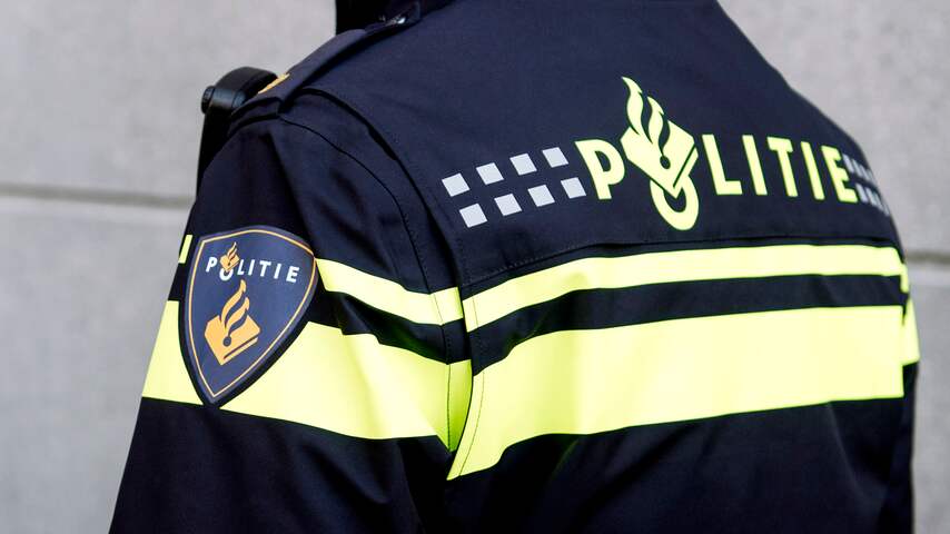 Agent loopt hersenschudding op bij beëindigen vechtpartij in Leek