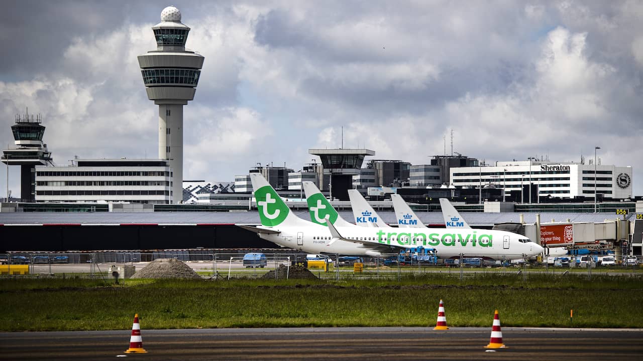 L’errore di Transavia potrebbe costare denaro ai viaggiatori |  ADESSO