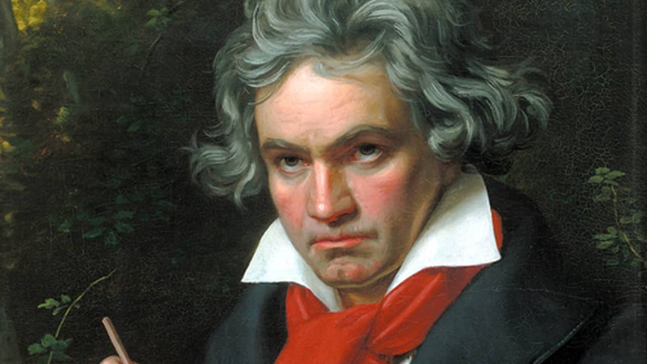 La poesia di Beethoven rivela che l’alcol non fu l’unica causa della sua morte