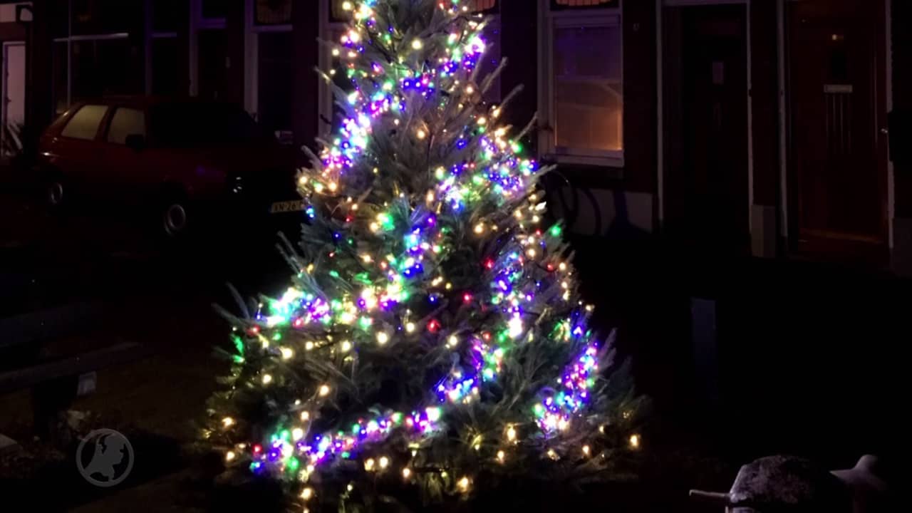 Verlichte kerstboom voor het tweede jaar op rij gestolen | NU - Het ... Verlichte kerstboom voor het tweede jaar op rij gestolen | NU - Het ...