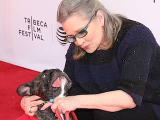 Hond wijlen Carrie Fisher te zien in Star Wars-film The Last Jedi
