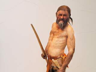 Kleding van ijsman Ötzi afkomstig van vijf diersoorten