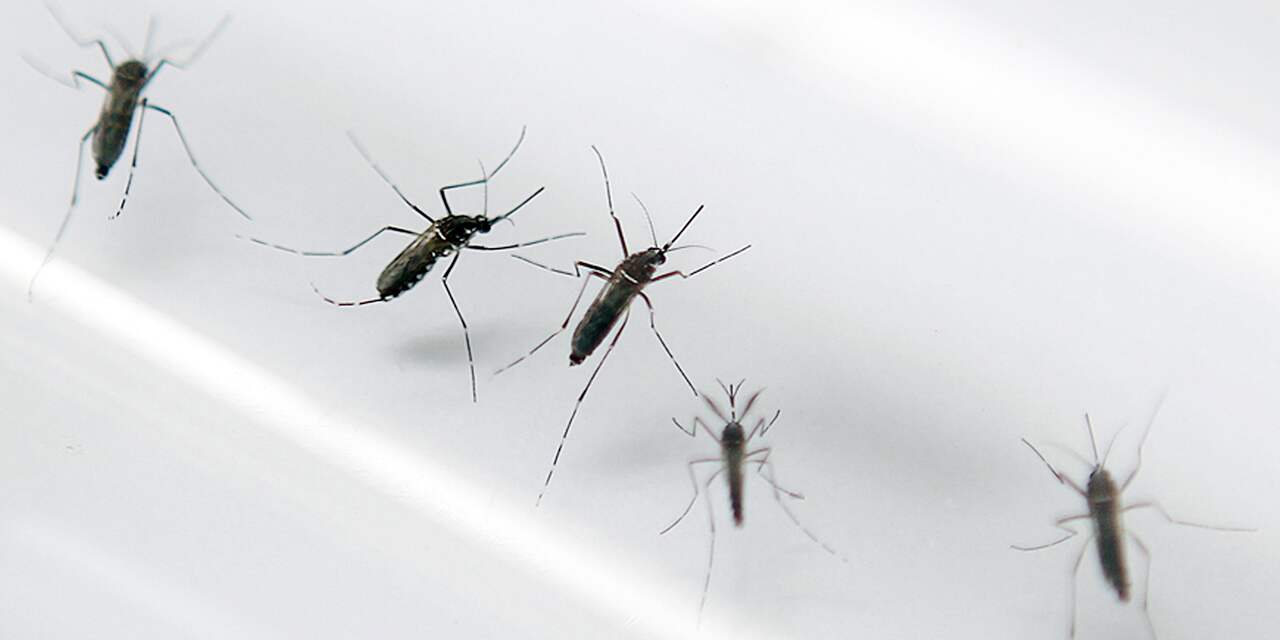 Eerste geval van besmetting met zikavirus in China